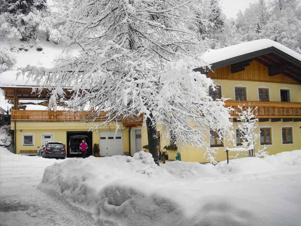 Grubhof Weissenbacher Альтенмаркт-ім-Понгау Екстер'єр фото